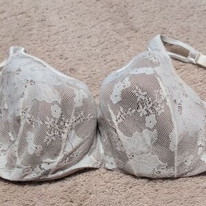 Cacique Lace Bra in Cream